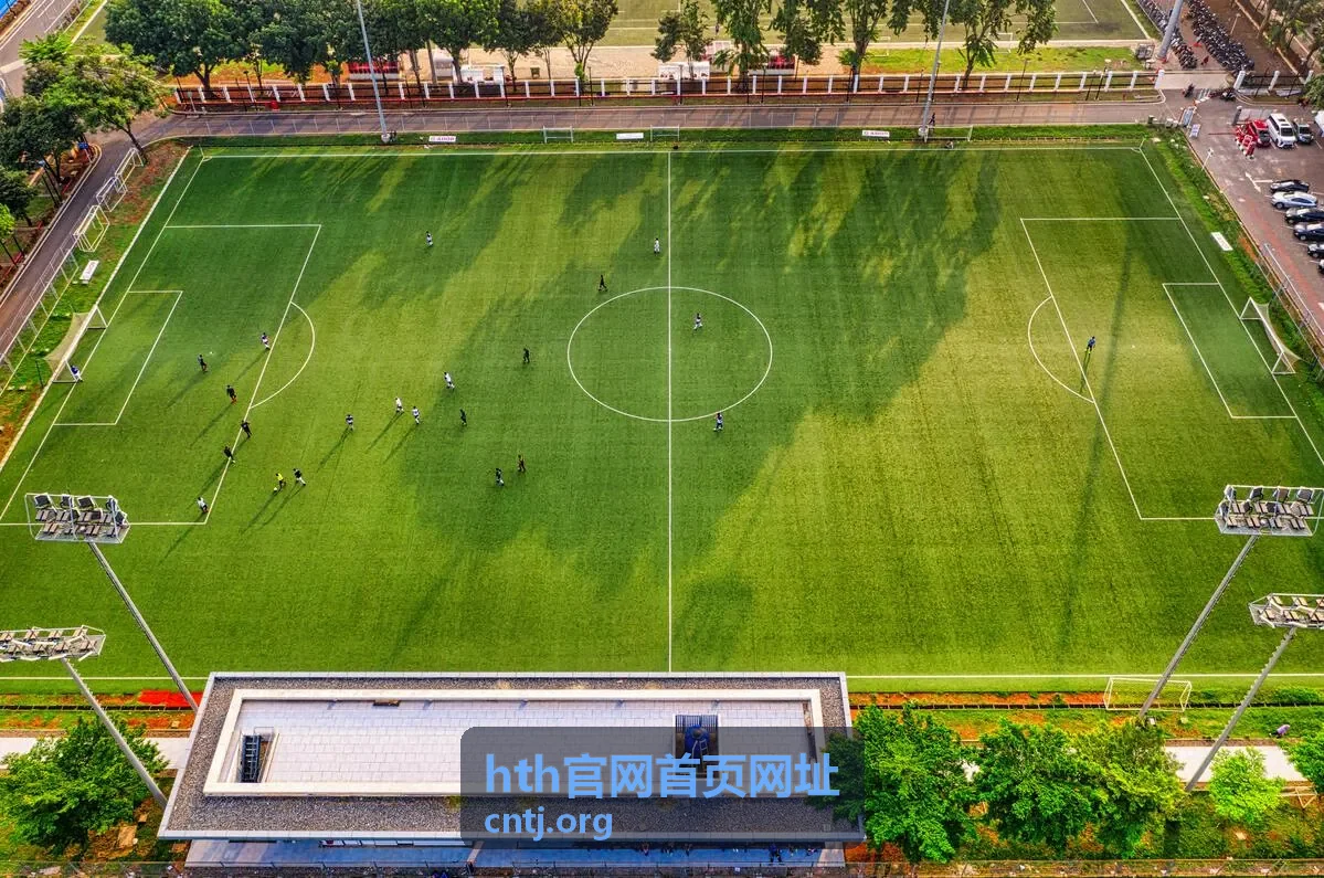 hth官网首页网址入口核对与访问流程配图